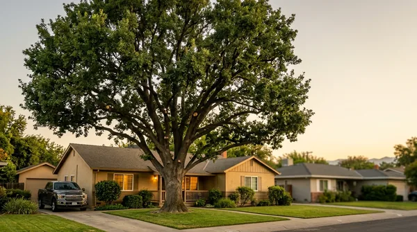 Team Visalia Tree Service in Visalia